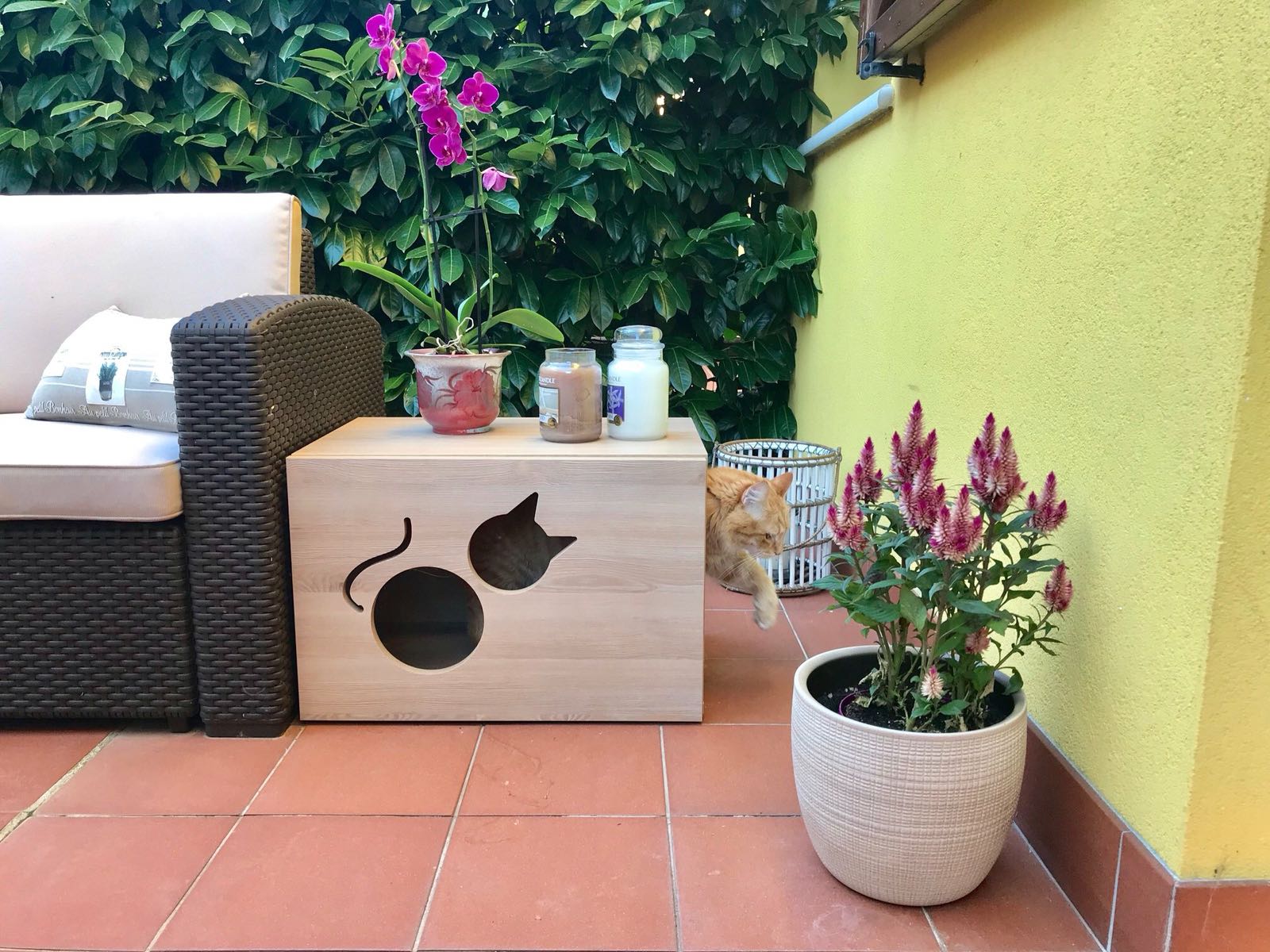 regali per gatti
