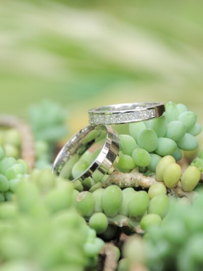 matrimonio ecosostenibile