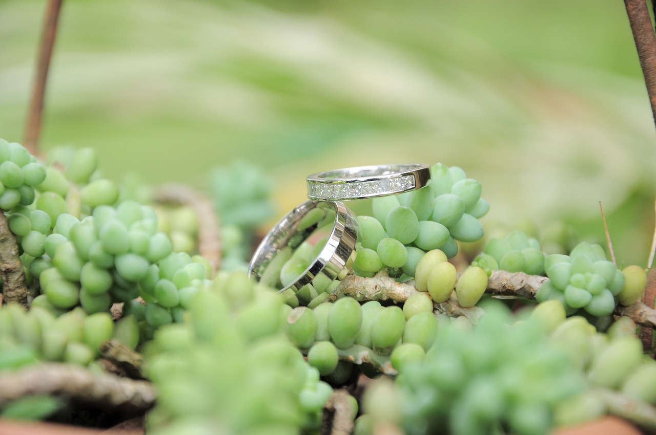 matrimonio ecosostenibile